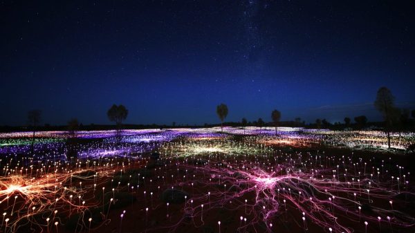 Bruce_Munros_field_of_light_Uluru